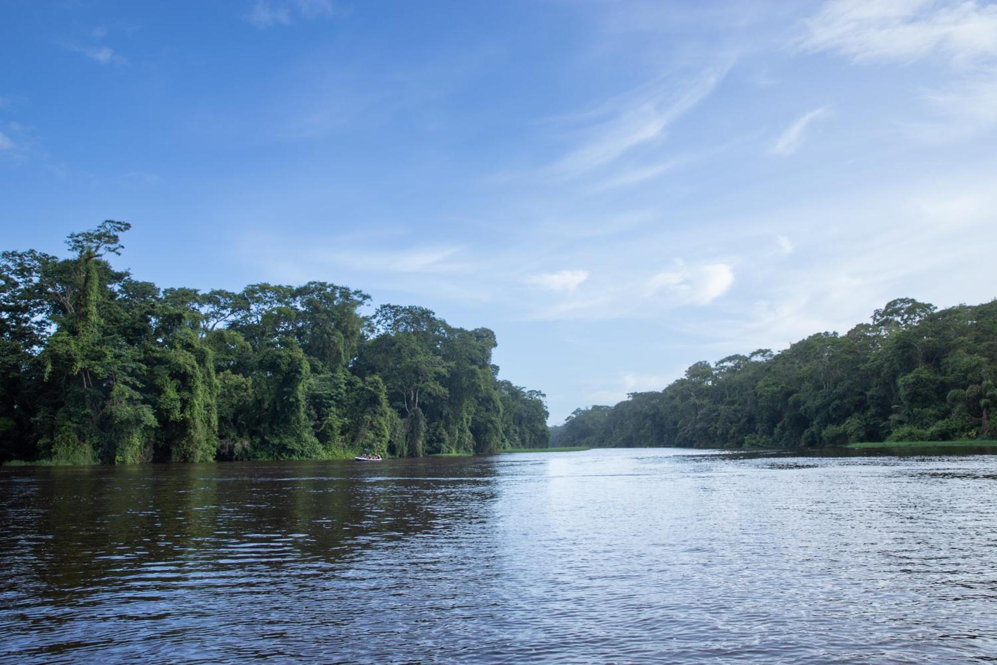 Pachira Lodge Тортугеро Экстерьер фото