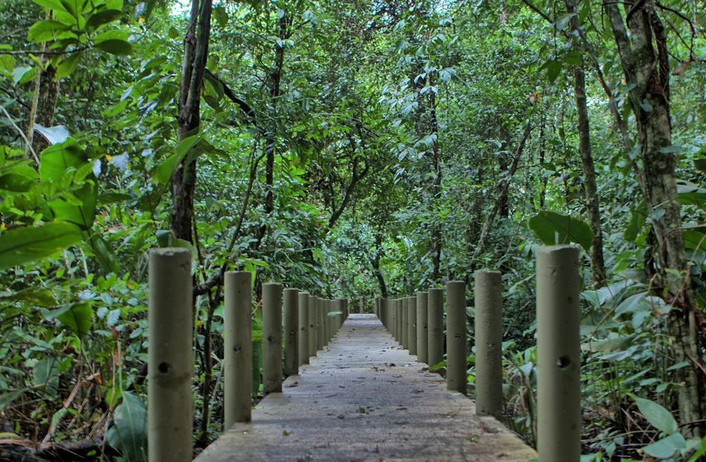 Pachira Lodge Тортугеро Экстерьер фото